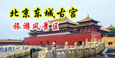 大胸和騷逼全部露出來的美女中国北京-东城古宫旅游风景区
